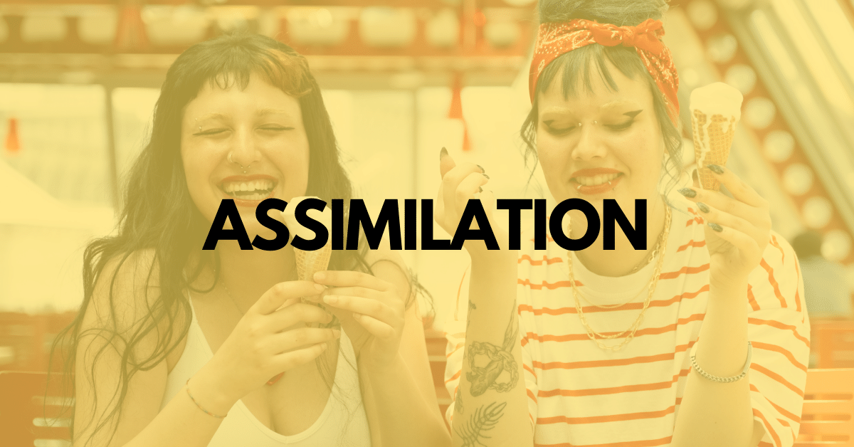 Understanding Assimilation: A Comprehensive Guide