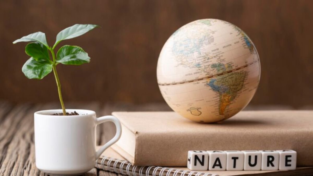Simbramento: Meaning, Origins, & Why It Matters