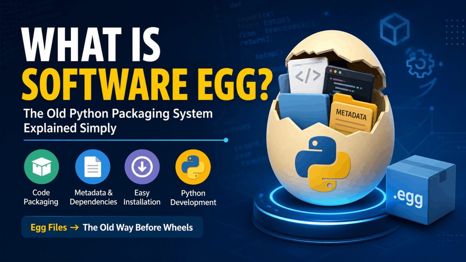 software egg