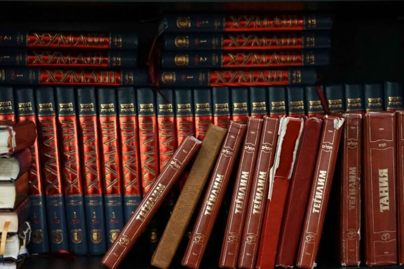 The Inheritance Games Series Books Explained for New Readers